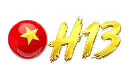 H13